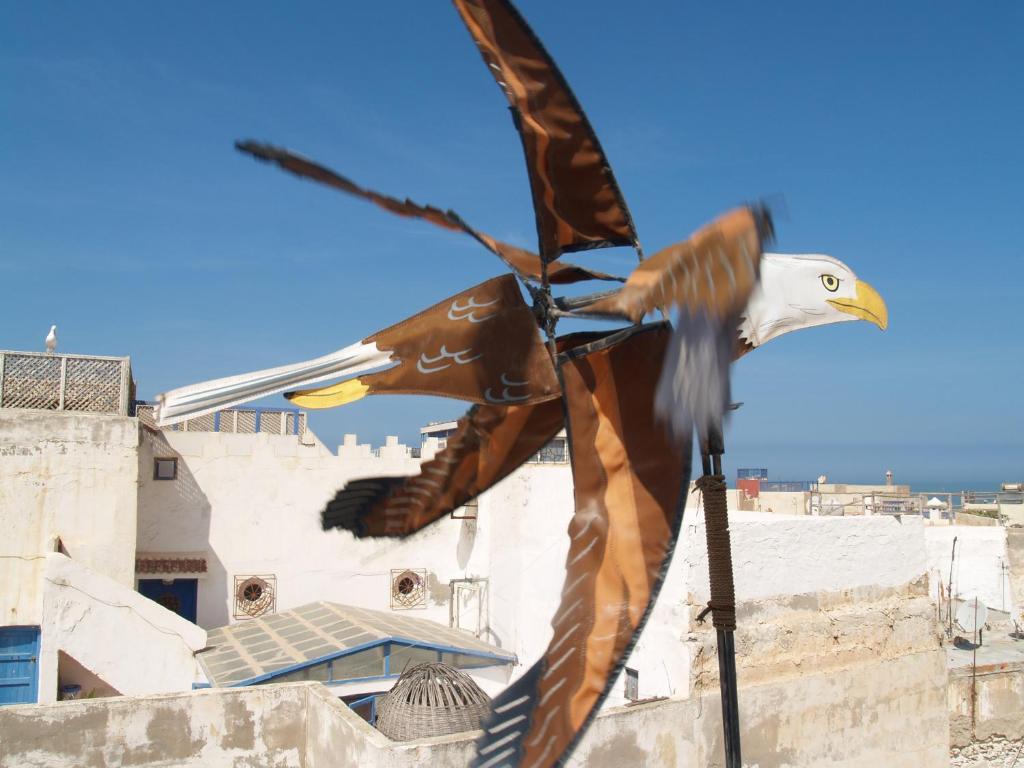 Dar Rahaothello Bed & Breakfast Essaouira Exterior photo